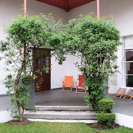 La Casa De Las Magnolias Hotel Coyoacan Kültér fotó