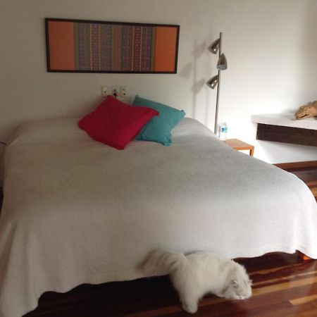 La Casa De Las Magnolias Hotel Coyoacan Kültér fotó