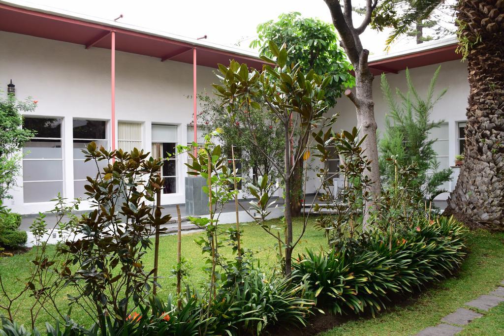 La Casa De Las Magnolias Hotel Coyoacan Kültér fotó