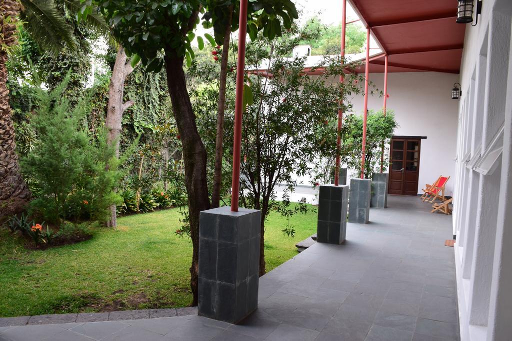 La Casa De Las Magnolias Hotel Coyoacan Kültér fotó