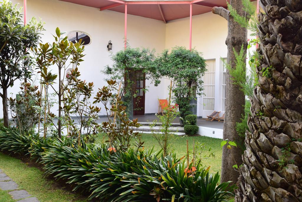 La Casa De Las Magnolias Hotel Coyoacan Kültér fotó