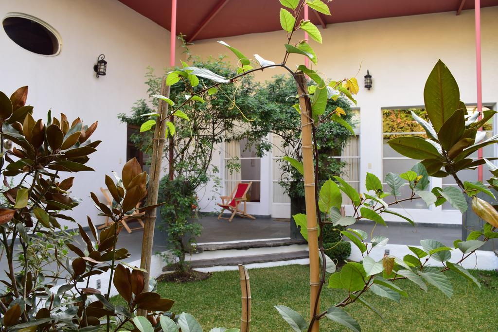 La Casa De Las Magnolias Hotel Coyoacan Kültér fotó