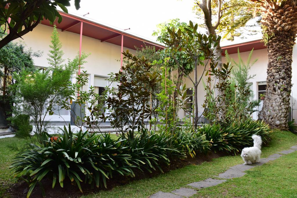 La Casa De Las Magnolias Hotel Coyoacan Kültér fotó