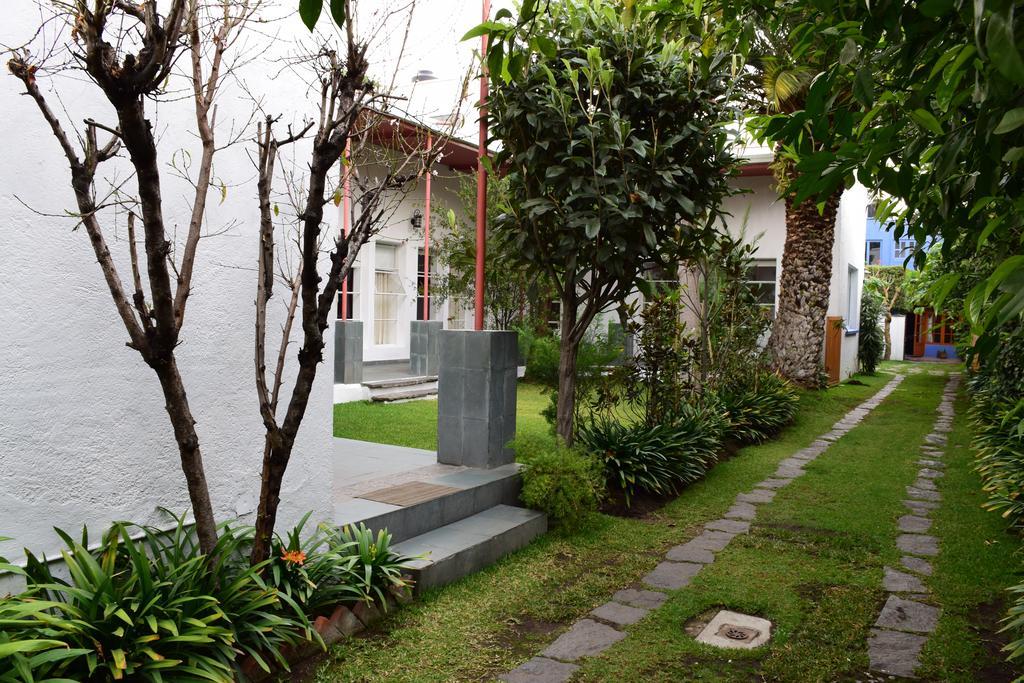 La Casa De Las Magnolias Hotel Coyoacan Kültér fotó